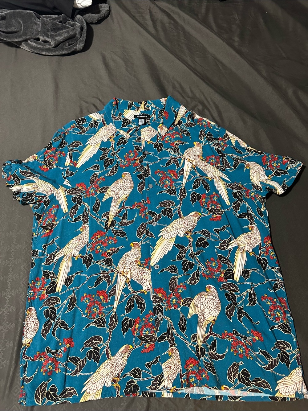 Express Teal Short-Sleeve Parrot Print Button-Down Shirt